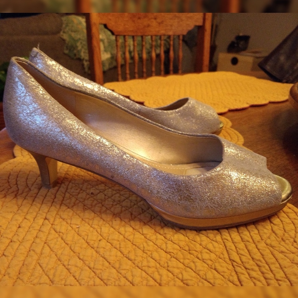 Alex Marie Crackle Silver Low Heels